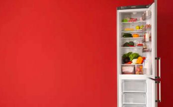 frigo 1 leroymerlin