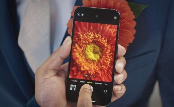 persona con telefono in mano scatta in modalità Macro un fiore